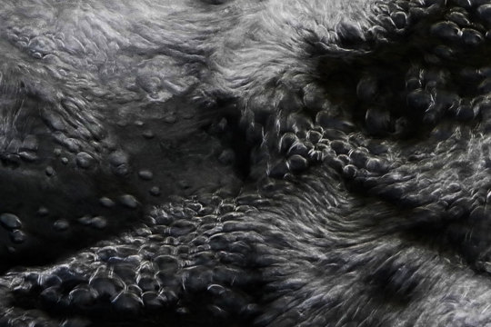 Aqua [Fluxus – Flat Water]